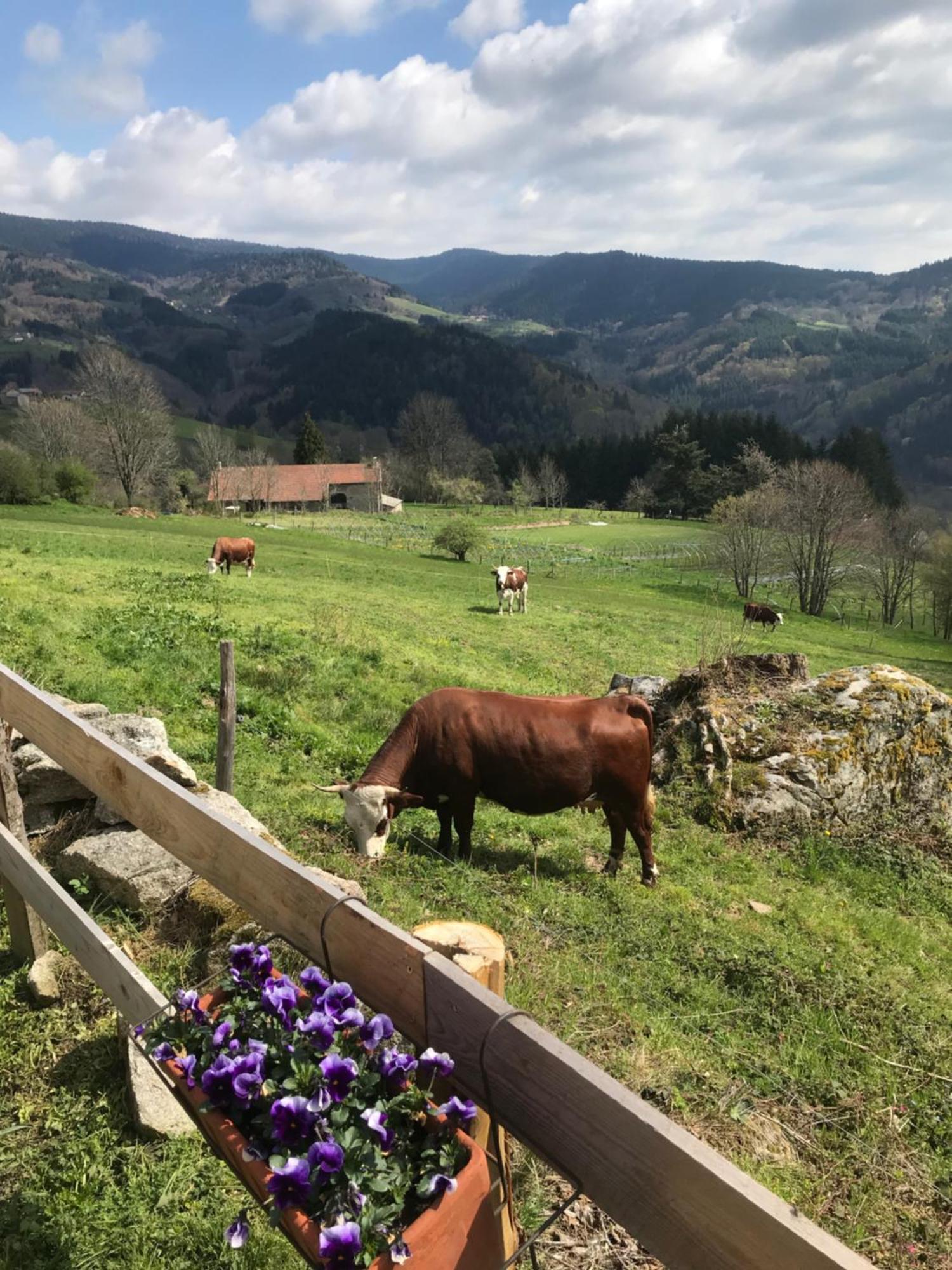 La Source D'En Haut Valcivieres Dış mekan fotoğraf