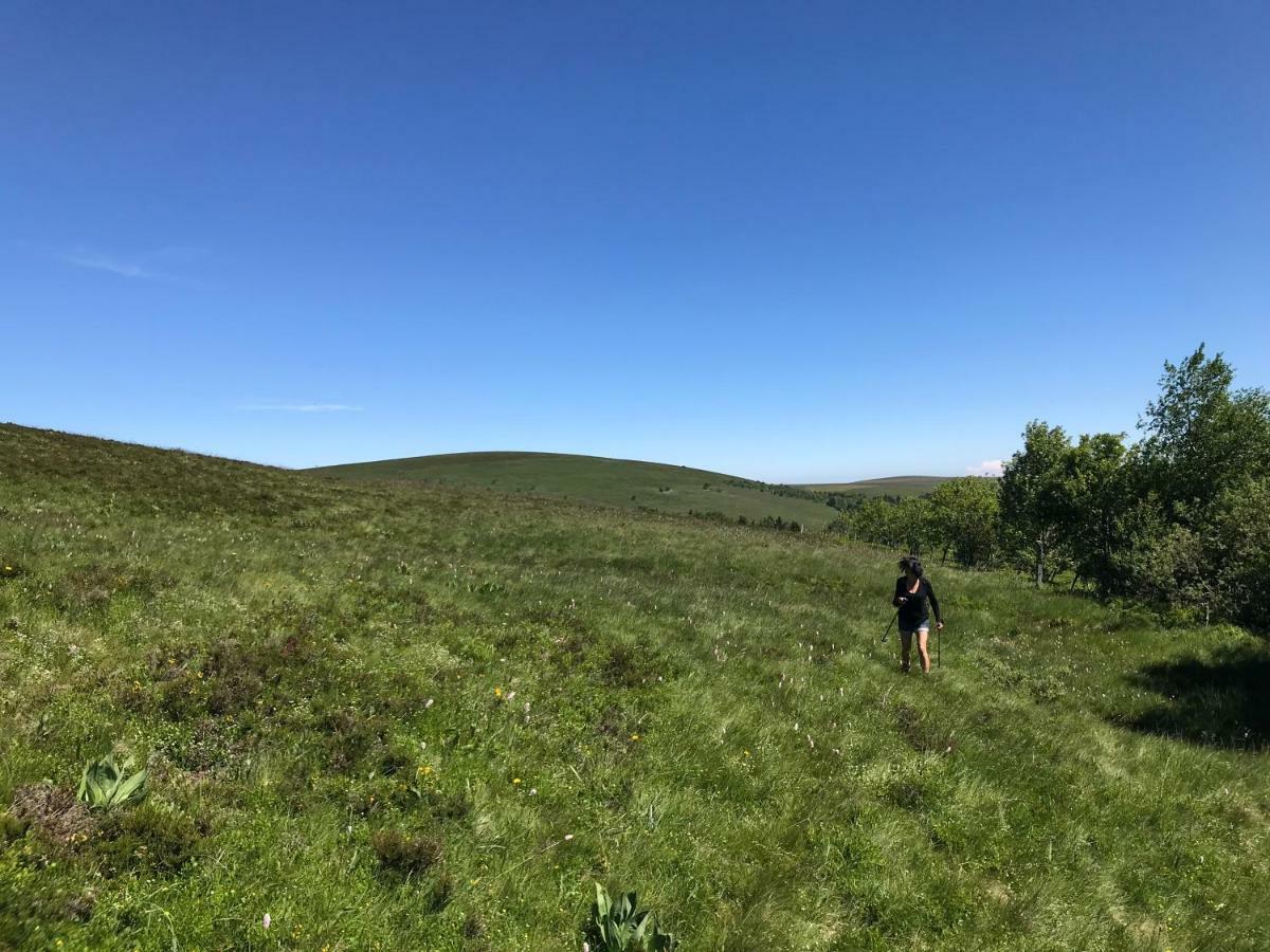 La Source D'En Haut Valcivieres Dış mekan fotoğraf
