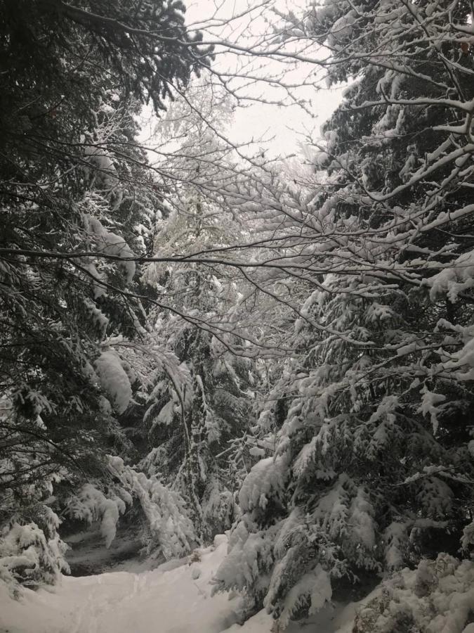 La Source D'En Haut Valcivieres Dış mekan fotoğraf